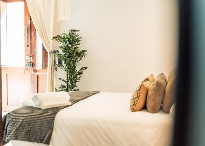 Apure - Downtown * La Laguna (Tenerife)