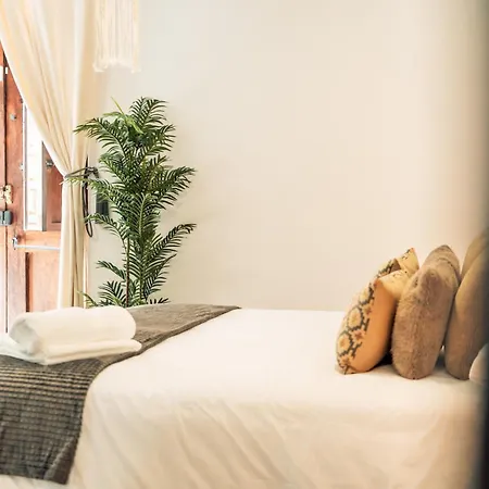 Apure - Downtown * サン・クリストバル・デ・ラ・ラグーナ